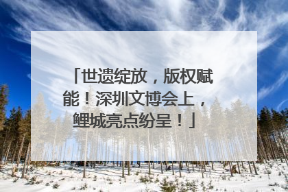 世遗绽放，版权赋能！深圳文博会上，鲤城亮点纷呈！