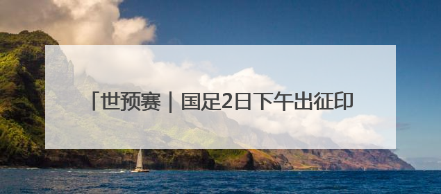 世预赛｜国足2日下午出征印尼，刘若钒因伤落选大名单