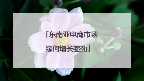东南亚电商市场缘何增长强劲