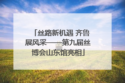 丝路新机遇 齐鲁展风采——第九届丝博会山东馆亮相