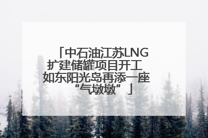 中石油江苏LNG扩建储罐项目开工 如东阳光岛再添一座“气墩墩”