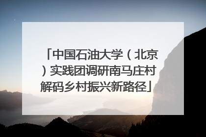 中国石油大学（北京）实践团调研南马庄村解码乡村振兴新路径