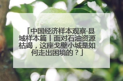 中国经济样本观察·县域样本篇丨面对石油资源枯竭，这座戈壁小城是如何走出困境的？