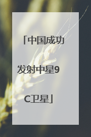 中国成功发射中星9C卫星