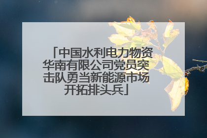 中国水利电力物资华南有限公司党员突击队勇当新能源市场开拓排头兵