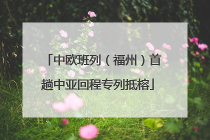中欧班列（福州）首趟中亚回程专列抵榕