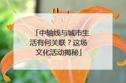 中轴线与城市生活有何关联？这场文化活动揭秘