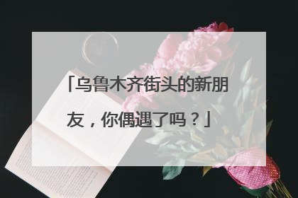 乌鲁木齐街头的新朋友，你偶遇了吗？