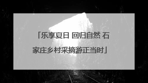 乐享夏日 回归自然 石家庄乡村采摘游正当时