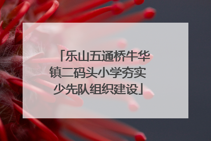 乐山五通桥牛华镇二码头小学夯实少先队组织建设