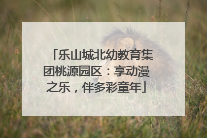 乐山城北幼教育集团桃源园区：享动漫之乐，伴多彩童年