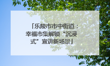 乐陵市市中街道：幸福市集解锁“沉浸式”宣讲新场景