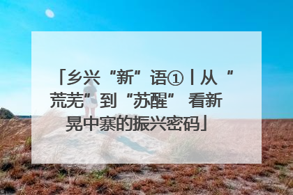 乡兴“新”语①丨从“荒芜”到“苏醒” 看新晃中寨的振兴密码