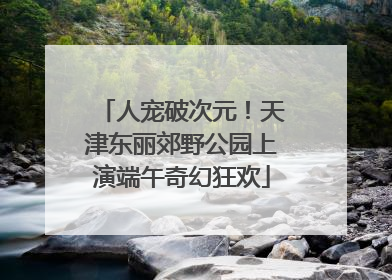 人宠破次元！天津东丽郊野公园上演端午奇幻狂欢