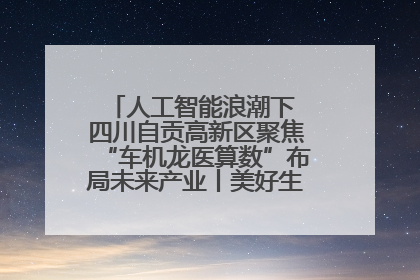 人工智能浪潮下 四川自贡高新区聚焦“车机龙医算数”布局未来产业丨美好生活有“盐”味