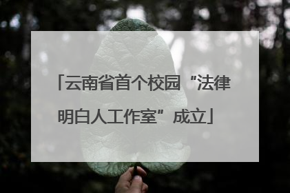 云南省首个校园“法律明白人工作室”成立