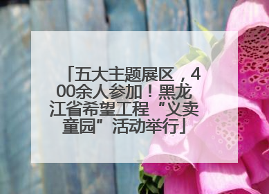 五大主题展区，400余人参加！黑龙江省希望工程“义卖童园”活动举行