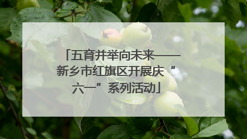 五育并举向未来——新乡市红旗区开展庆“六一”系列活动