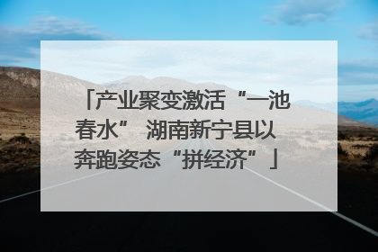 产业聚变激活“一池春水” 湖南新宁县以奔跑姿态“拼经济”