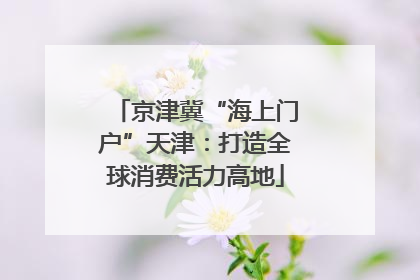 京津冀“海上门户”天津：打造全球消费活力高地
