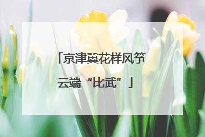 京津冀花样风筝云端“比武”