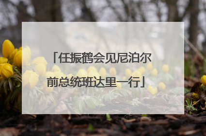 任振鹤会见尼泊尔前总统班达里一行
