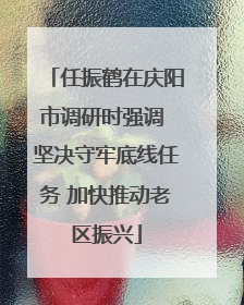 任振鹤在庆阳市调研时强调 坚决守牢底线任务 加快推动老区振兴