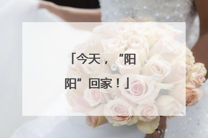 今天，“阳阳”回家！