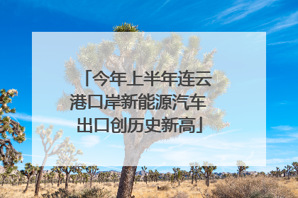 今年上半年连云港口岸新能源汽车出口创历史新高