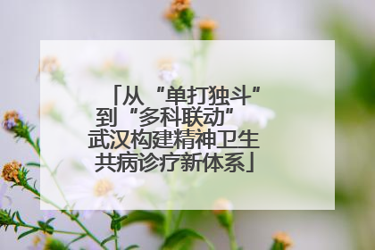 从“单打独斗”到“多科联动” 武汉构建精神卫生共病诊疗新体系