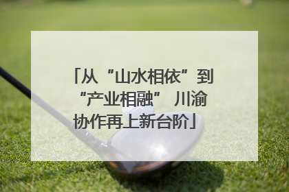 从“山水相依”到“产业相融” 川渝协作再上新台阶