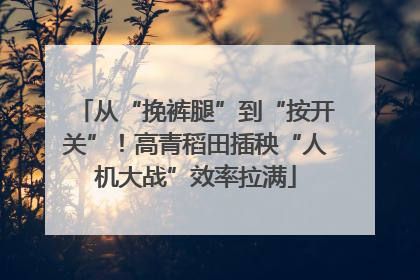 从“挽裤腿”到“按开关”！高青稻田插秧“人机大战”效率拉满