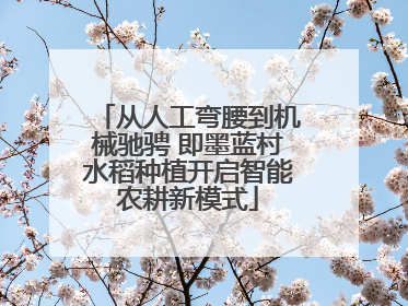 从人工弯腰到机械驰骋 即墨蓝村水稻种植开启智能农耕新模式