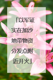 以军证实在加沙地带物资分发点附近开火