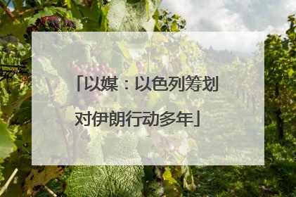 以媒：以色列筹划对伊朗行动多年