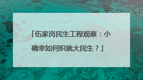 伍家岗民生工程观察：小确幸如何织就大民生？
