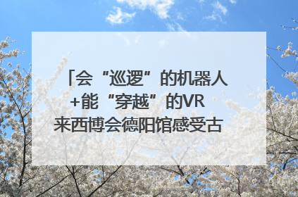 会“巡逻”的机器人+能“穿越”的VR 来西博会德阳馆感受古蜀文明与现代智造的时空对话｜西博视界