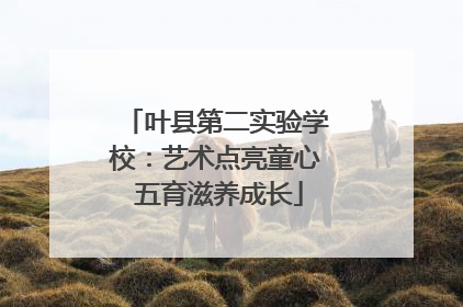 叶县第二实验学校:艺术点亮童心 五育滋养成长