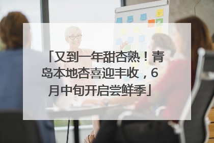 又到一年甜杏熟！青岛本地杏喜迎丰收，6月中旬开启尝鲜季