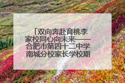双向奔赴育桃李 家校同心向未来——合肥市第四十二中学南城分校家长学校期末总结会圆满召开