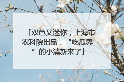双色又迷你，上海市农科院出品，“吃瓜界”的小清新来了