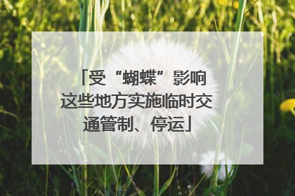 受“蝴蝶”影响 这些地方实施临时交通管制、停运
