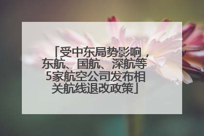 受中东局势影响，东航、国航、深航等5家航空公司发布相关航线退改政策