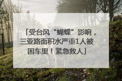受台风“蝴蝶”影响，三亚路面积水严重1人被困车里！紧急救人