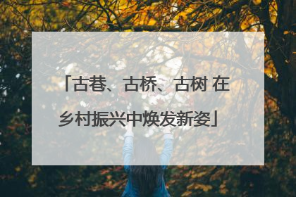 古巷、古桥、古树 在乡村振兴中焕发新姿