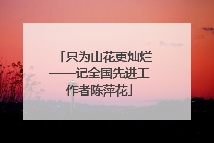 只为山花更灿烂——记全国先进工作者陈萍花