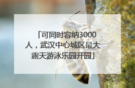 可同时容纳3000人，武汉中心城区最大露天游泳乐园开园