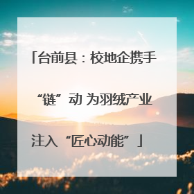 台前县：校地企携手“链”动 为羽绒产业注入“匠心动能”