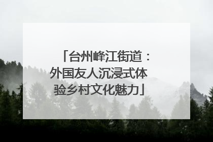 台州峰江街道：外国友人沉浸式体验乡村文化魅力