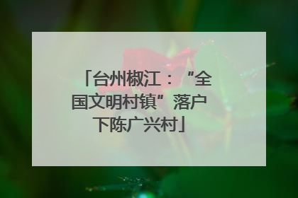 台州椒江：“全国文明村镇”落户下陈广兴村